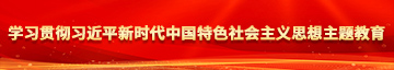 东北老女人逼学习贯彻习近平新时代中国特色社会主义思想主题教育